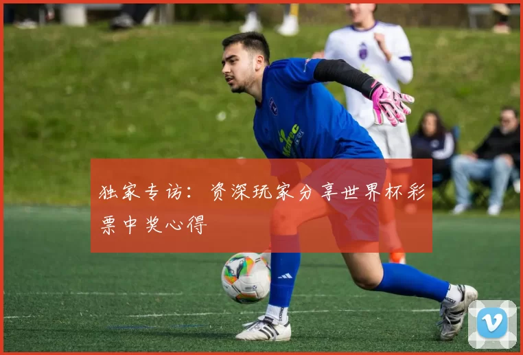 独家专访：资深玩家分享世界杯彩票中奖心得