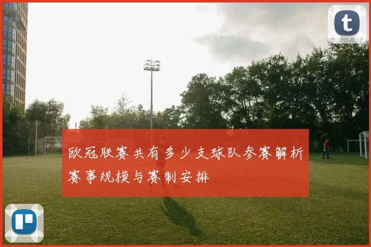 欧冠联赛共有多少支球队参赛解析赛事规模与赛制安排