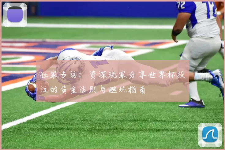 独家专访：资深玩家分享世界杯投注的黄金法则与避坑指南