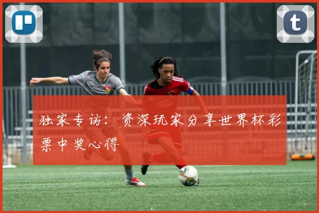 独家专访：资深玩家分享世界杯彩票中奖心得