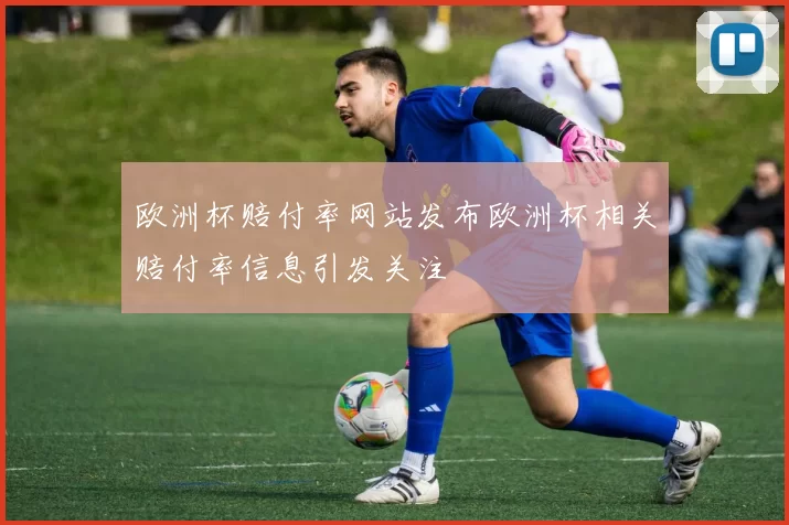 欧洲杯赔付率网站发布欧洲杯相关赔付率信息引发关注