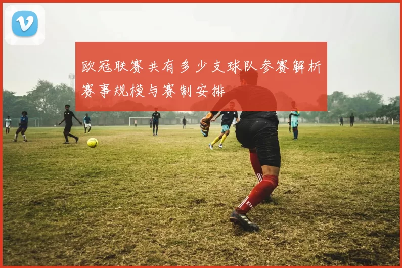 欧冠联赛共有多少支球队参赛解析赛事规模与赛制安排