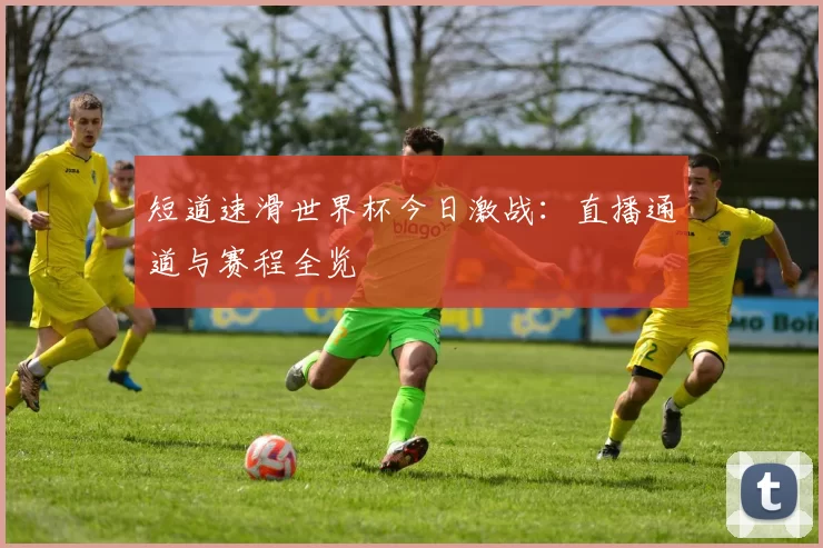 短道速滑世界杯今日激战：直播通道与赛程全览