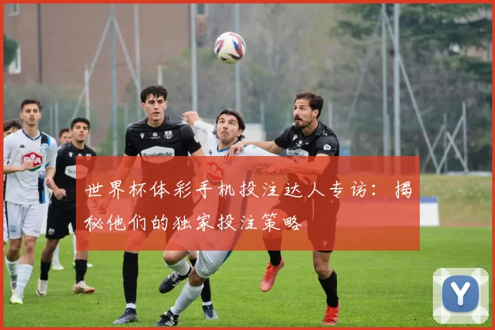 世界杯体彩手机投注达人专访：揭秘他们的独家投注策略
