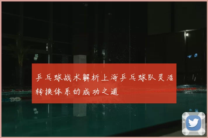 乒乓球战术解析上海乒乓球队灵活转换体系的成功之道