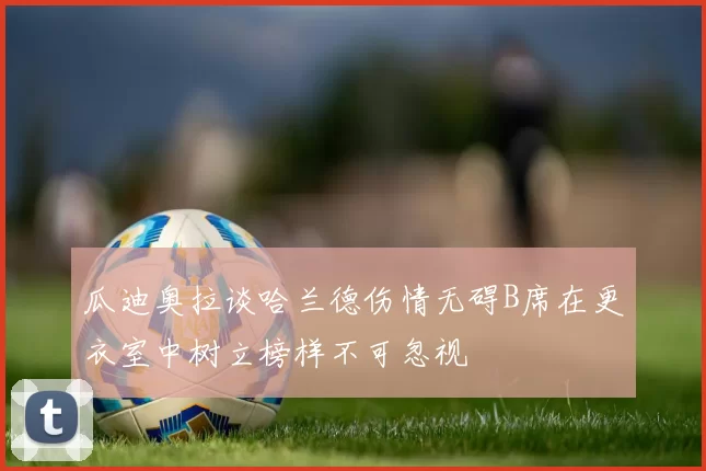 瓜迪奥拉谈哈兰德伤情无碍B席在更衣室中树立榜样不可忽视