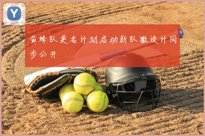 黄蜂队更名计划启动新队徽设计同步公开