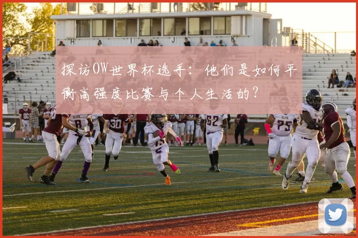 探访OW世界杯选手：他们是如何平衡高强度比赛与个人生活的？